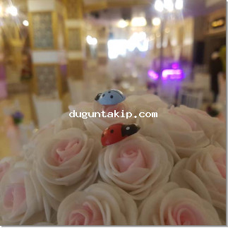 Sahra Sultan Düğün Salonu resim
