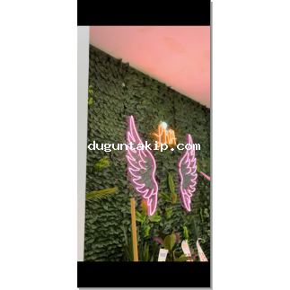 Liva Davet Evi resim