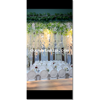 Liva Davet Evi resim