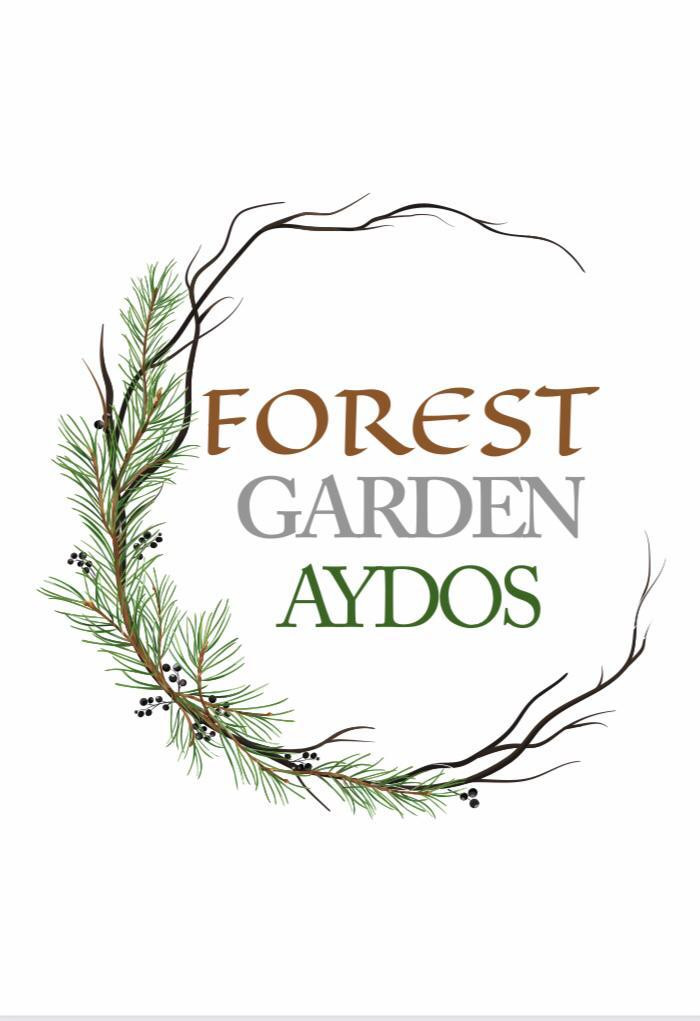 Forestgarden - Begonvil