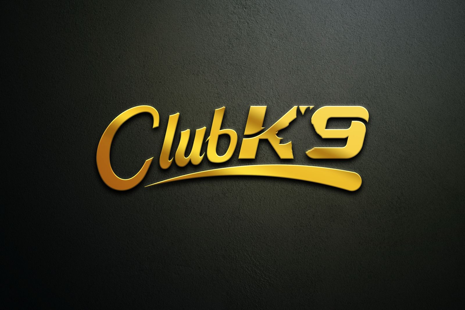 CLUB K9 - KUMSAL DAVET